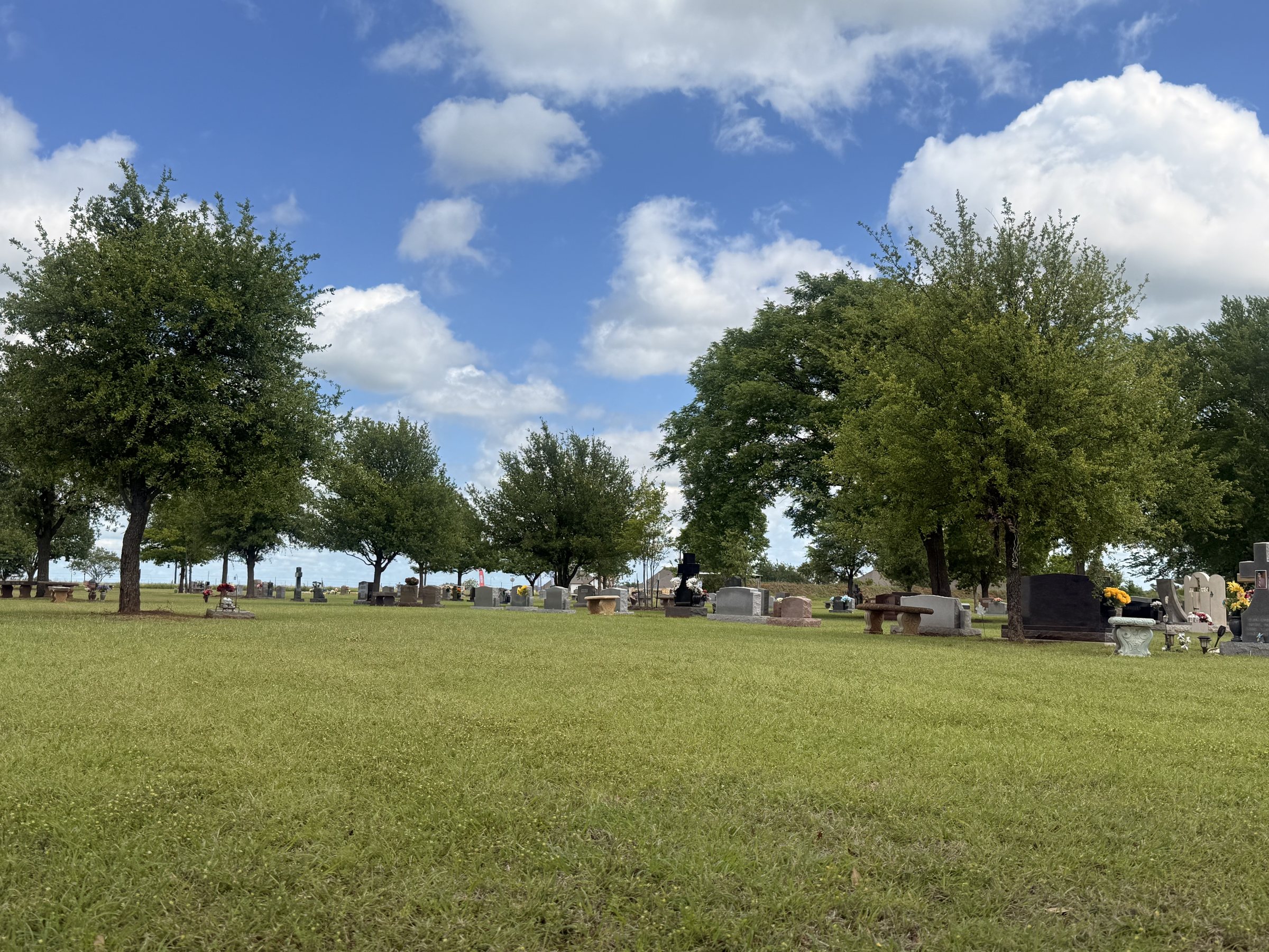 Green lawns and mature trees beneath a blue sky at Holly Hills